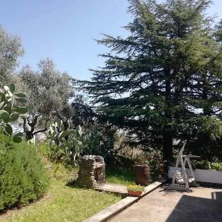 Apartament La Campagna Di Rosy Genzano di Roma Zewnętrze zdjęcie